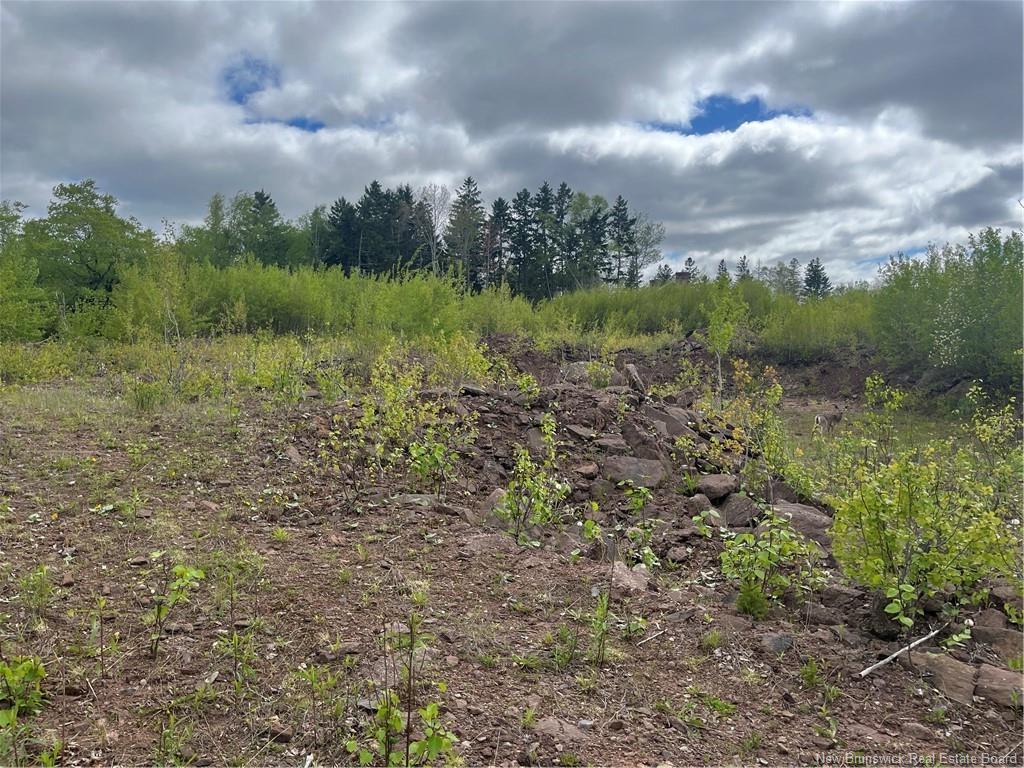 96 Hilltop Dr, Hampton, NB