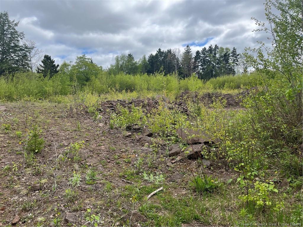 96 Hilltop Dr, Hampton, NB