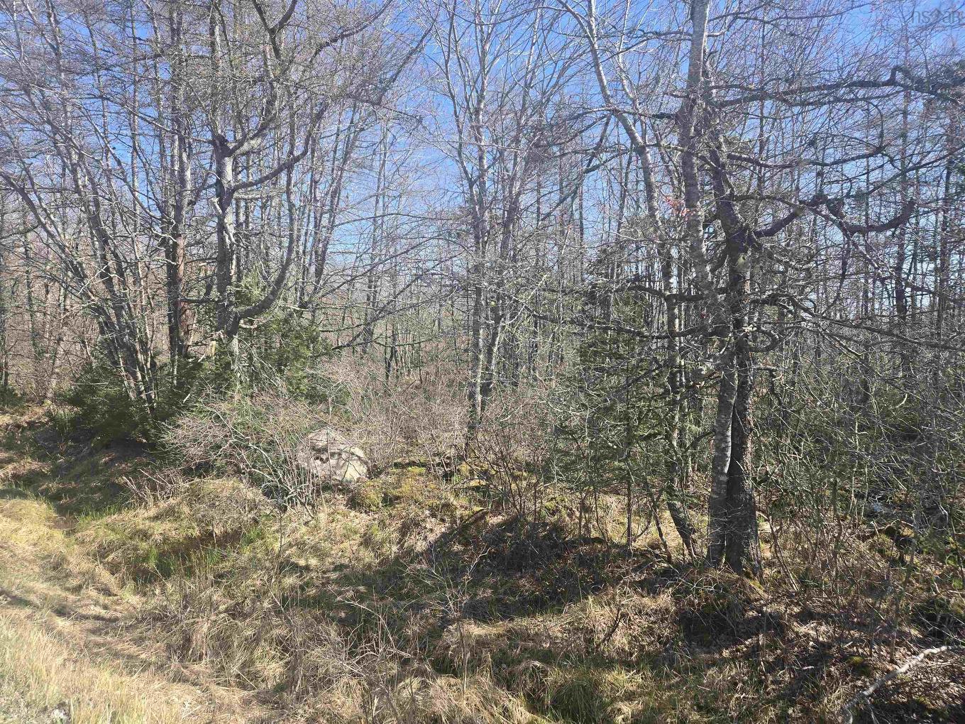 Lot B Lake Road, Sandy Point, NS