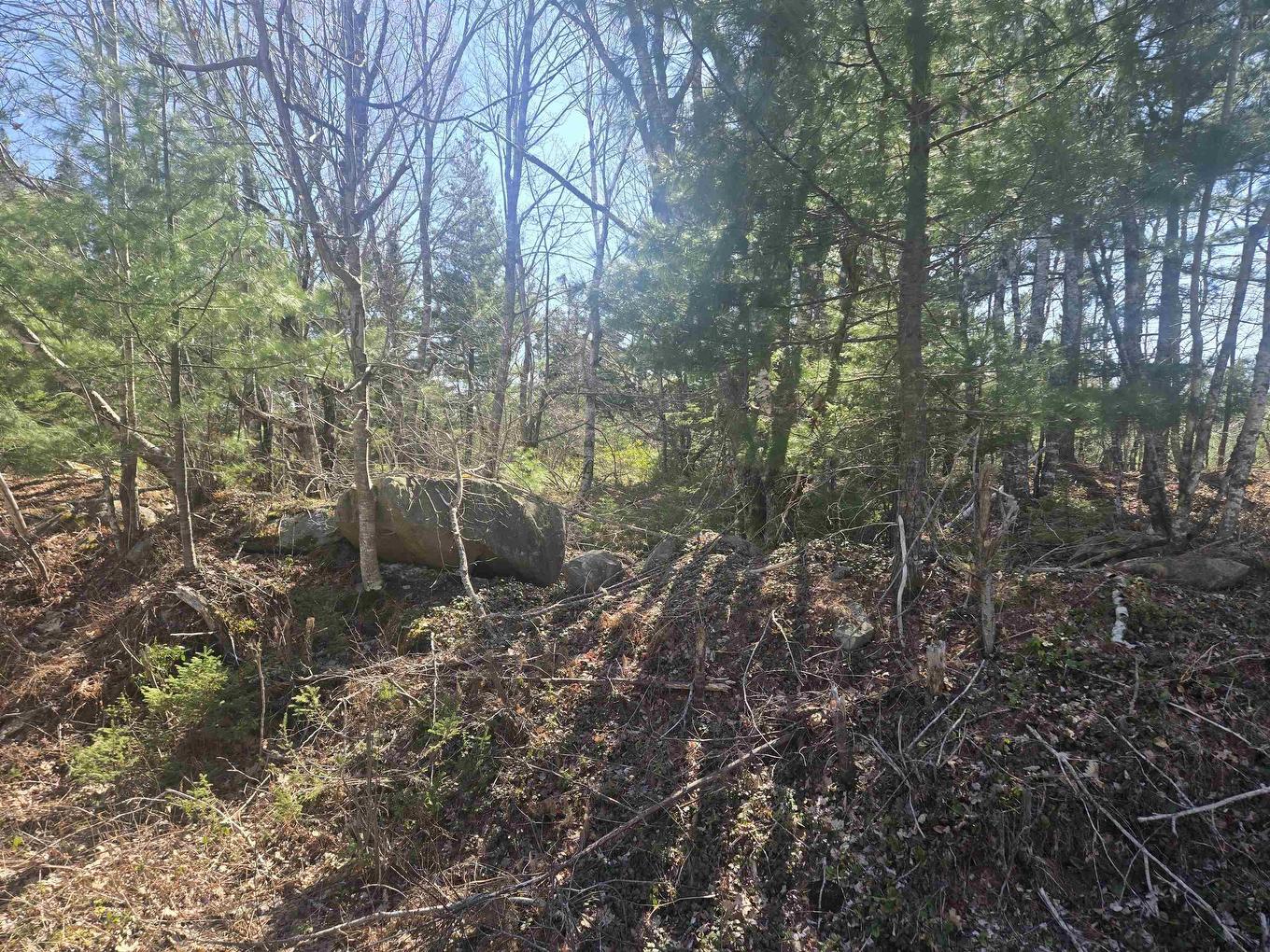 Lot B Lake Road, Sandy Point, NS