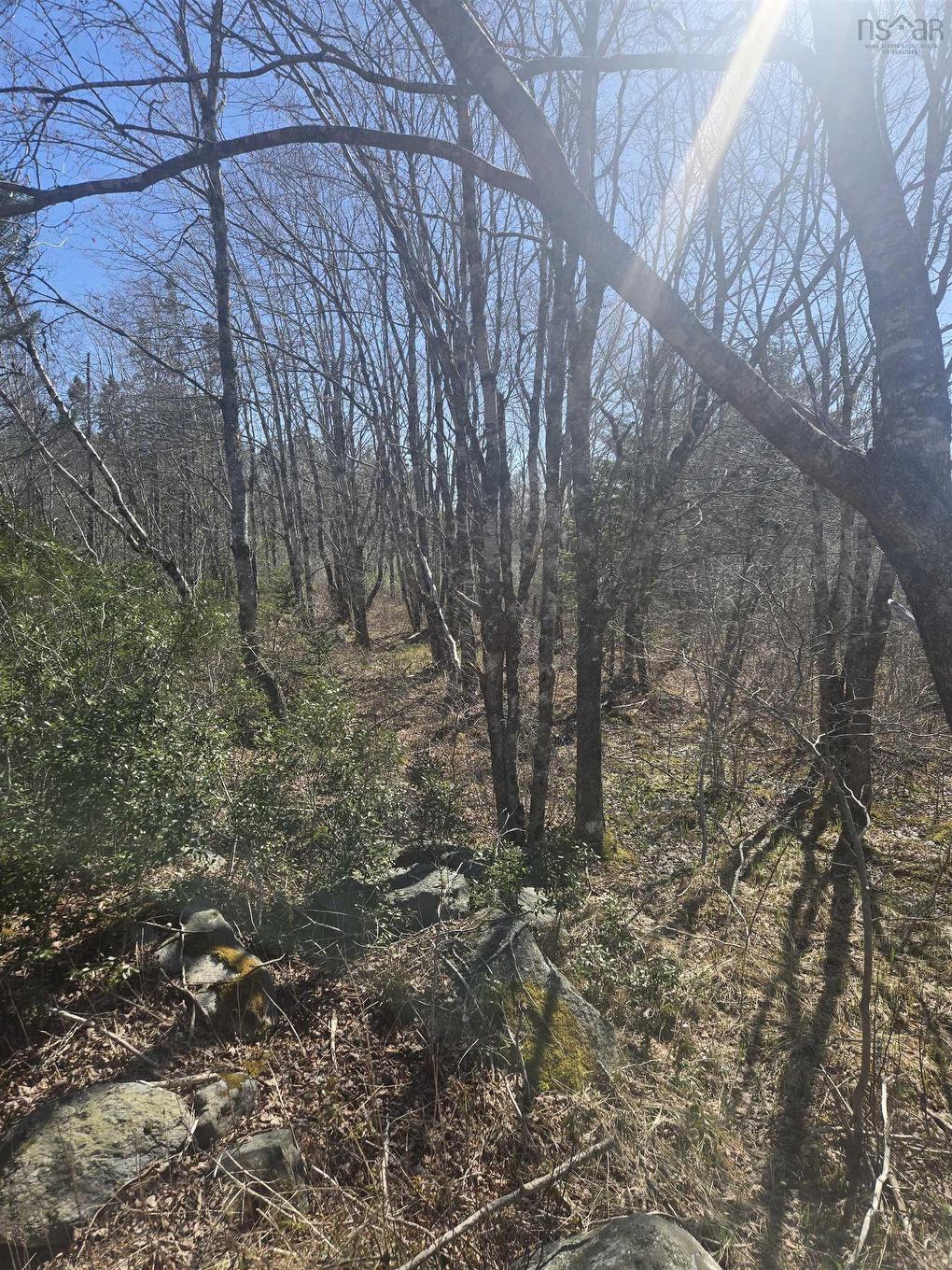 Lot B Lake Road, Sandy Point, NS