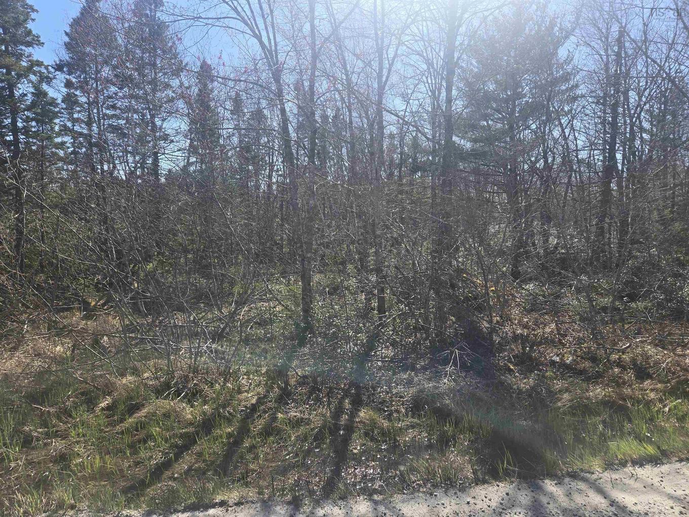 Lot B Lake Road, Sandy Point, NS