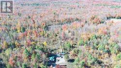 812 CLEVELAND ROAD Tudor And Cashel (Tudor Ward), ON K0K 1Y0