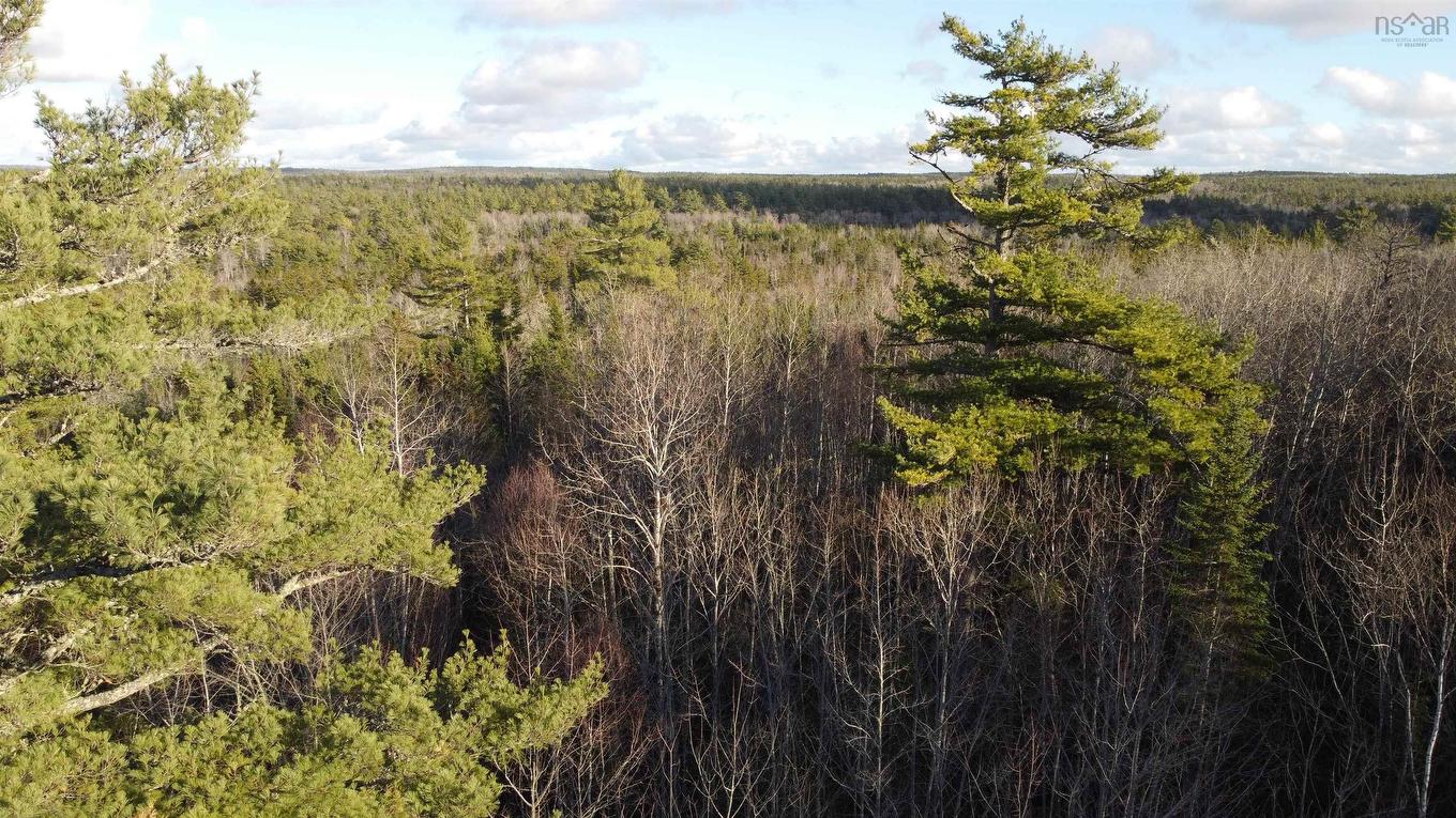 Lot 3 Highway 10, Albany, NS