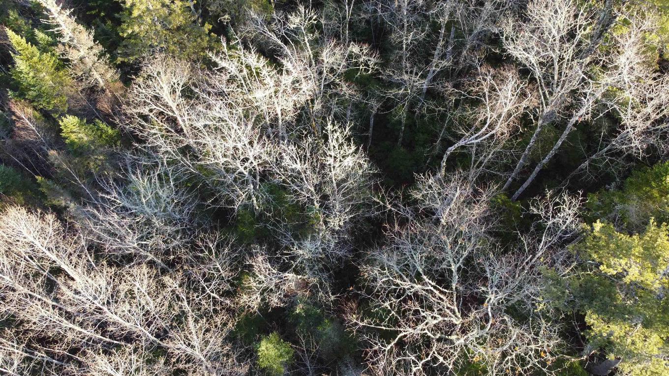 Lot 3 Highway 10, Albany, NS