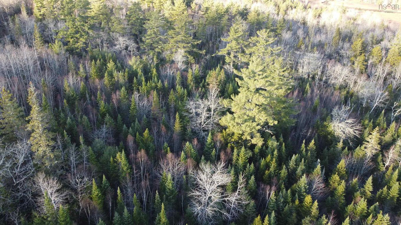 Lot 3 Highway 10, Albany, NS