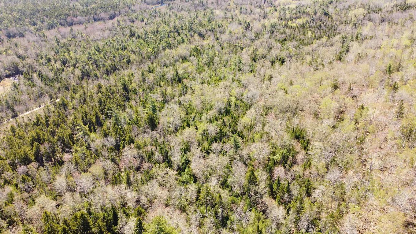 Lot 3 Highway 10, Albany, NS