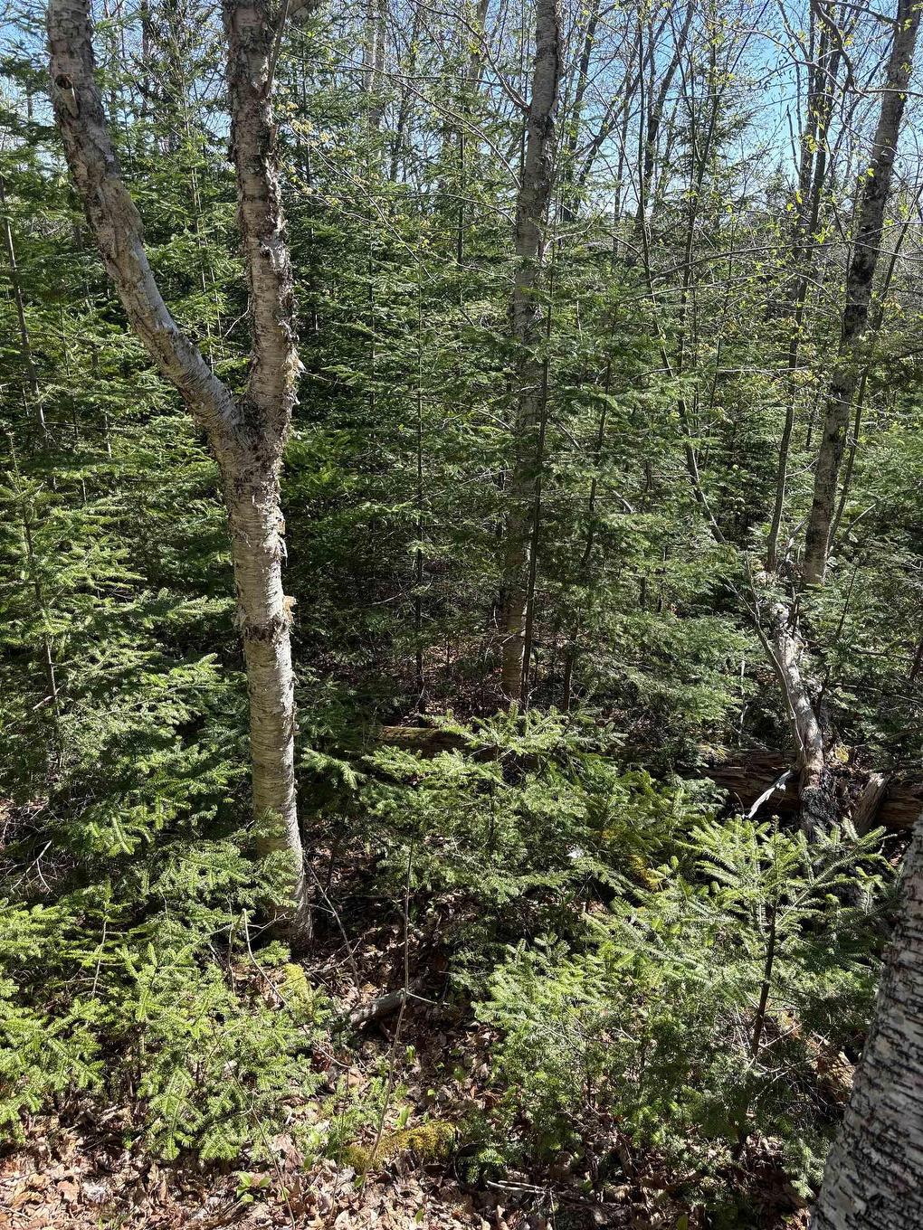 Lot 3 Highway 10, Albany, NS