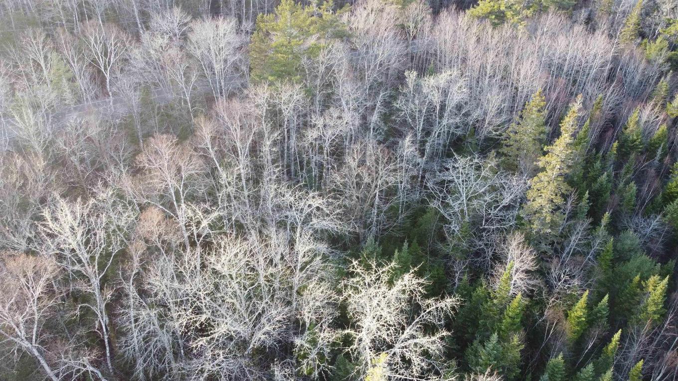 Lot 3 Highway 10, Albany, NS