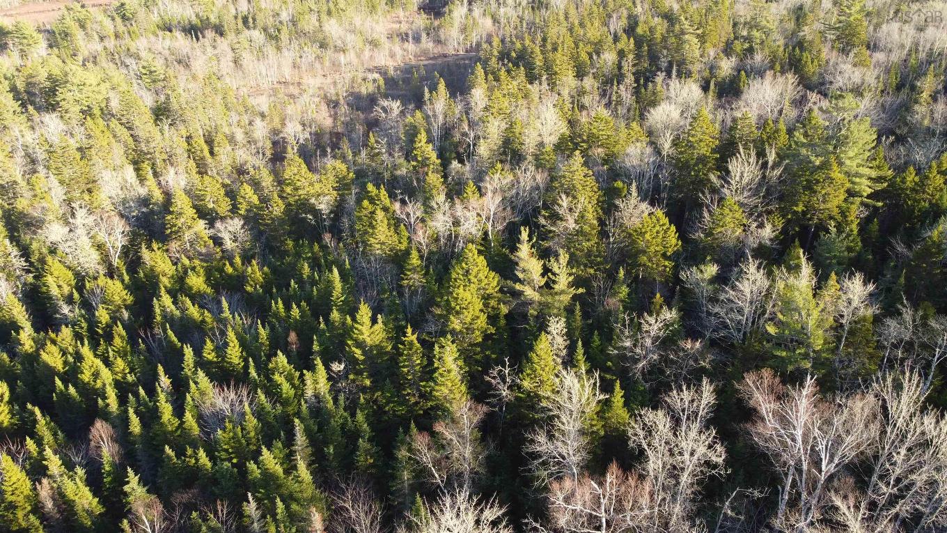 Lot 3 Highway 10, Albany, NS