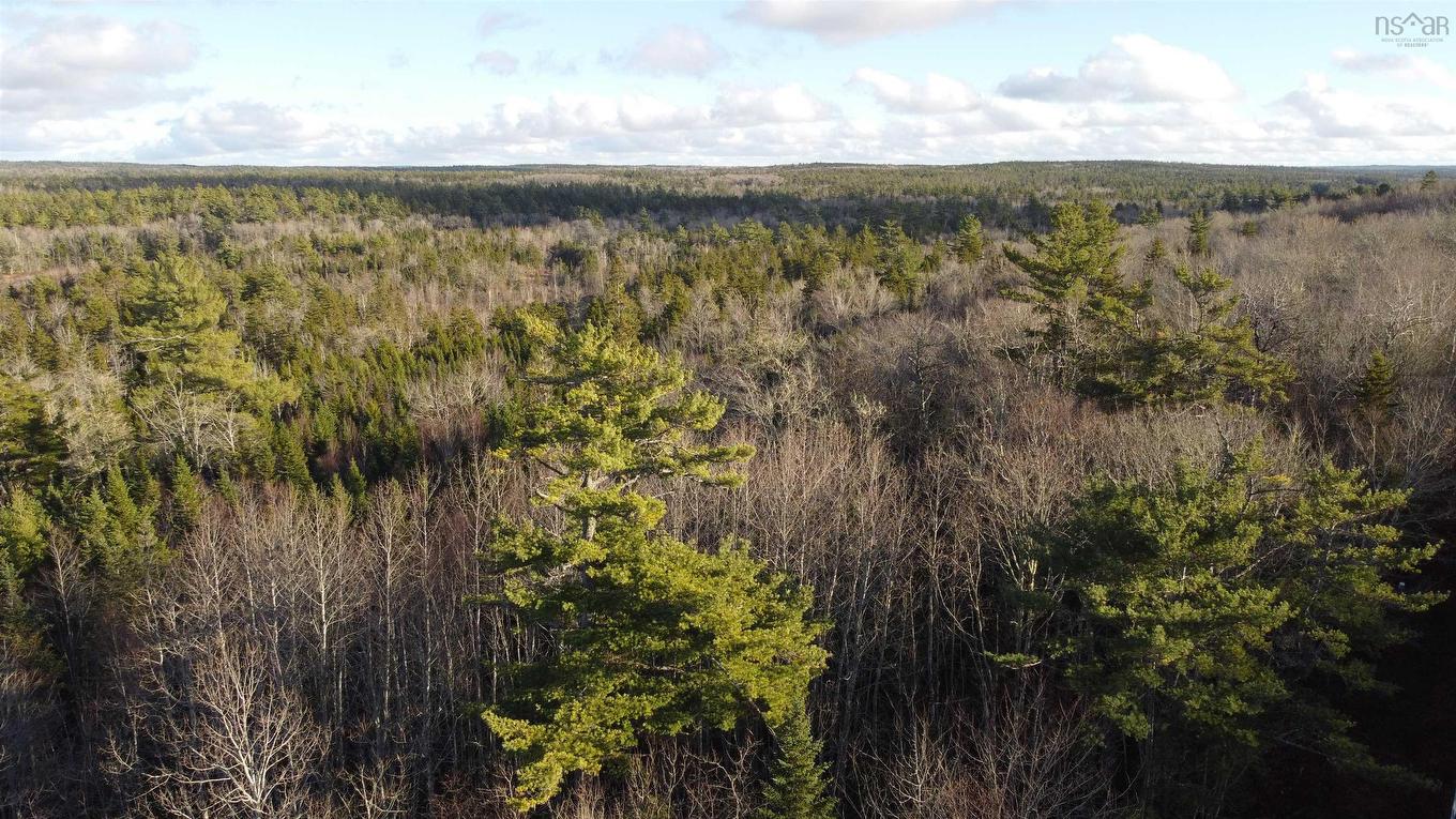 Lot 3 Highway 10, Albany, NS