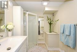 Lower Unit - Bathroom -