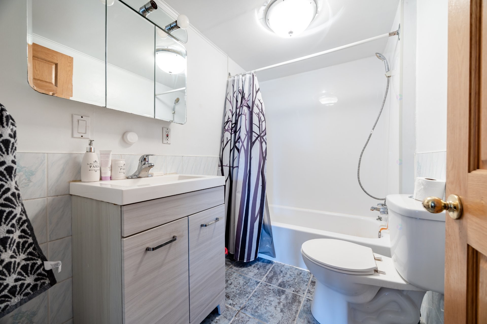 Salle de bains - 6830Z Ch. Des Prairies, Brossard, QC