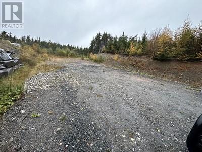 14 North Ridge Sub-Division, Blaketown, NL