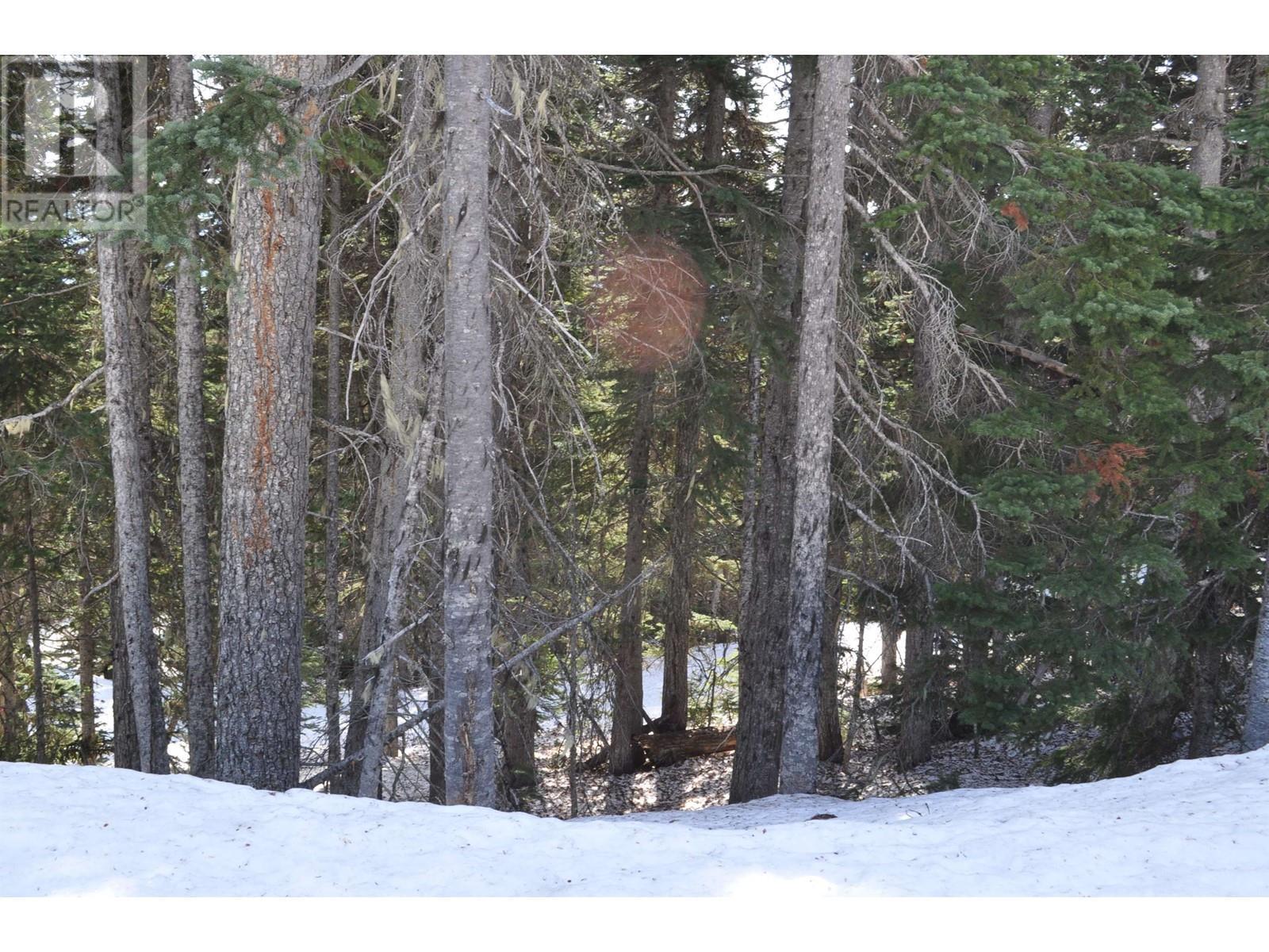 Pr. St Lt 8 Alpine Way, Smithers, BC