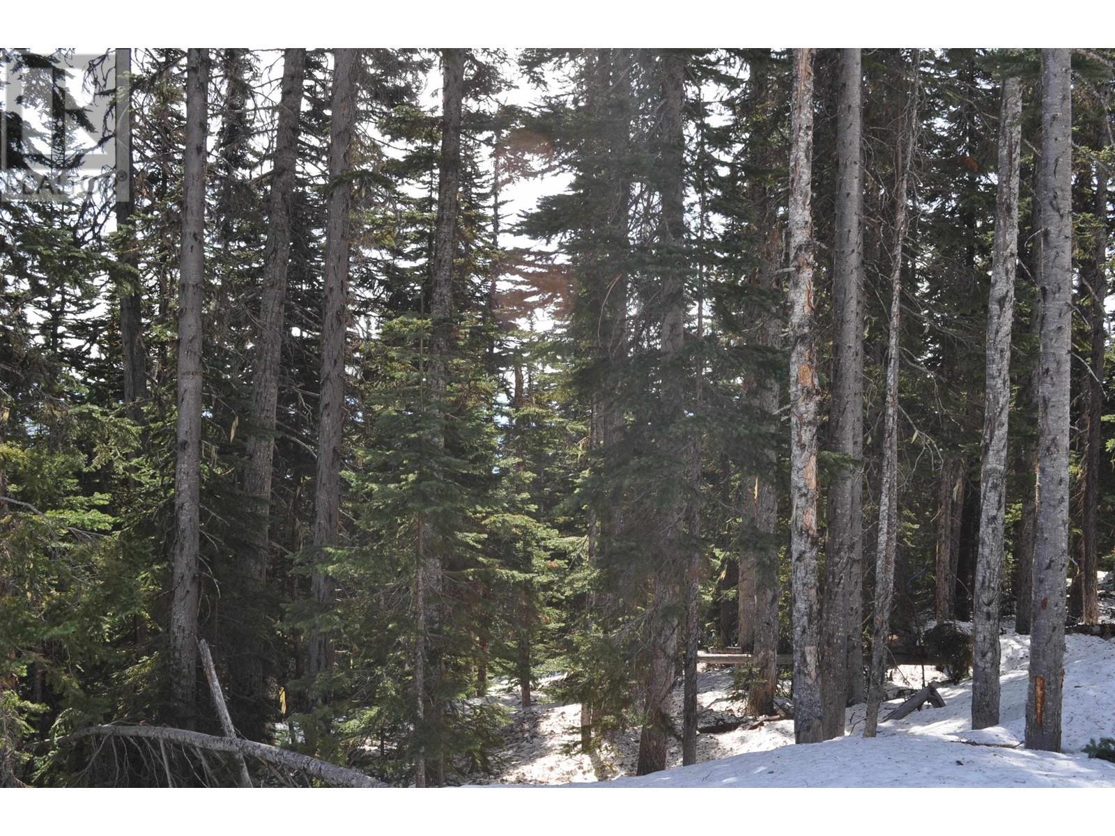 Pr. St Lt 8 Alpine Way, Smithers, BC