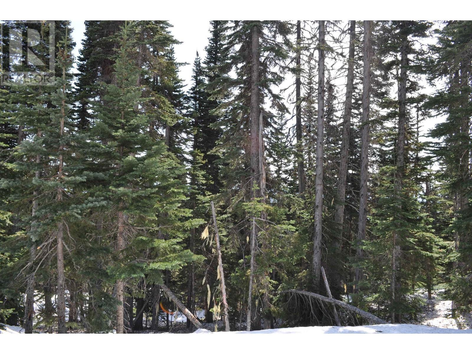 Pr. St Lt 8 Alpine Way, Smithers, BC