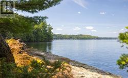8 - 1124 COATE ROAD Muskoka Lakes (Cardwell), ON P0C 1J0
