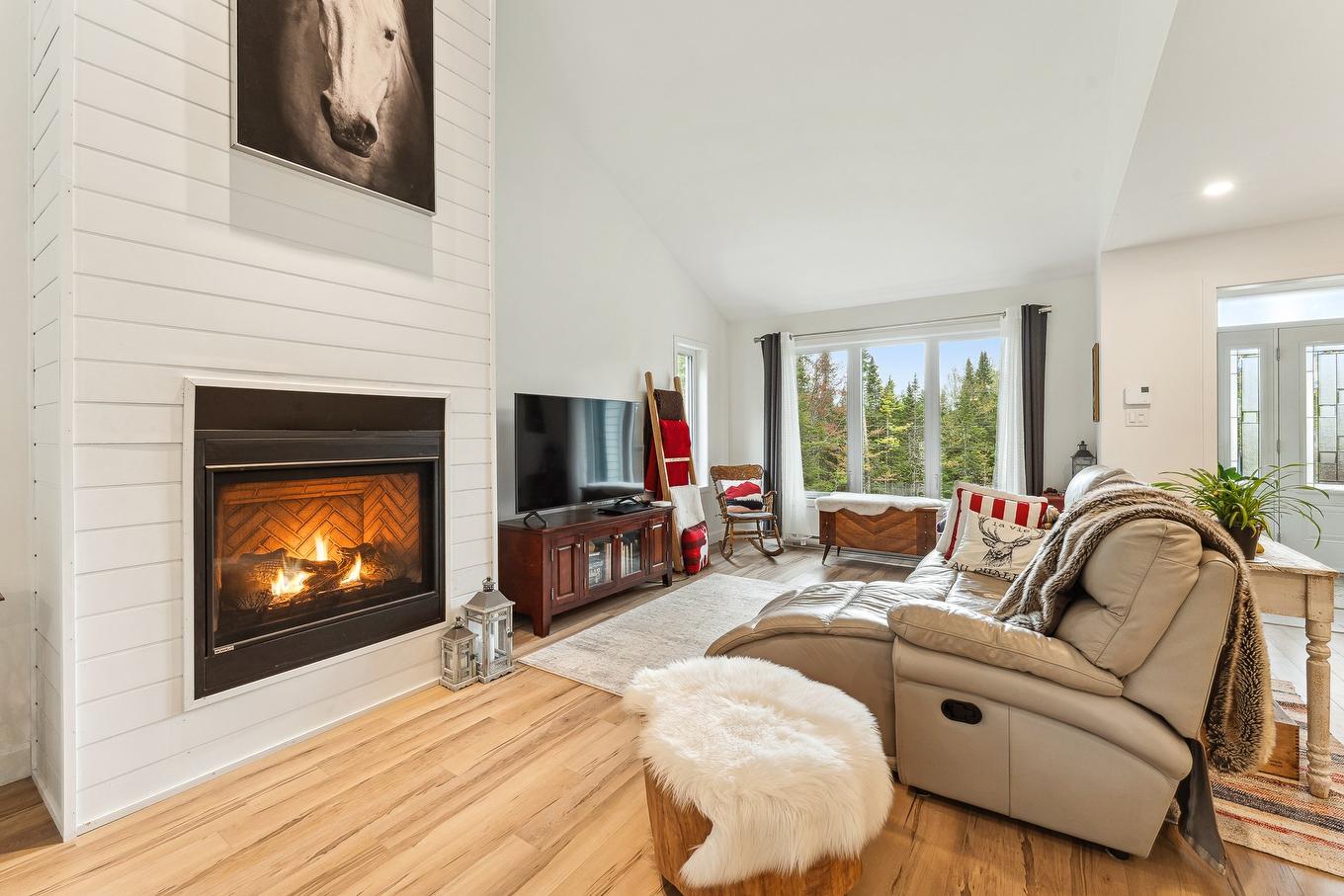 Salon - 657 Rue Bordeleau, Magog, QC - Indoor Photo Showing Living Room With Fireplace
