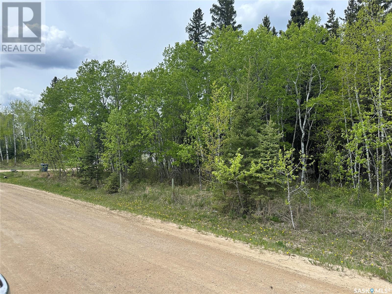 1 George Street, Big River, SK