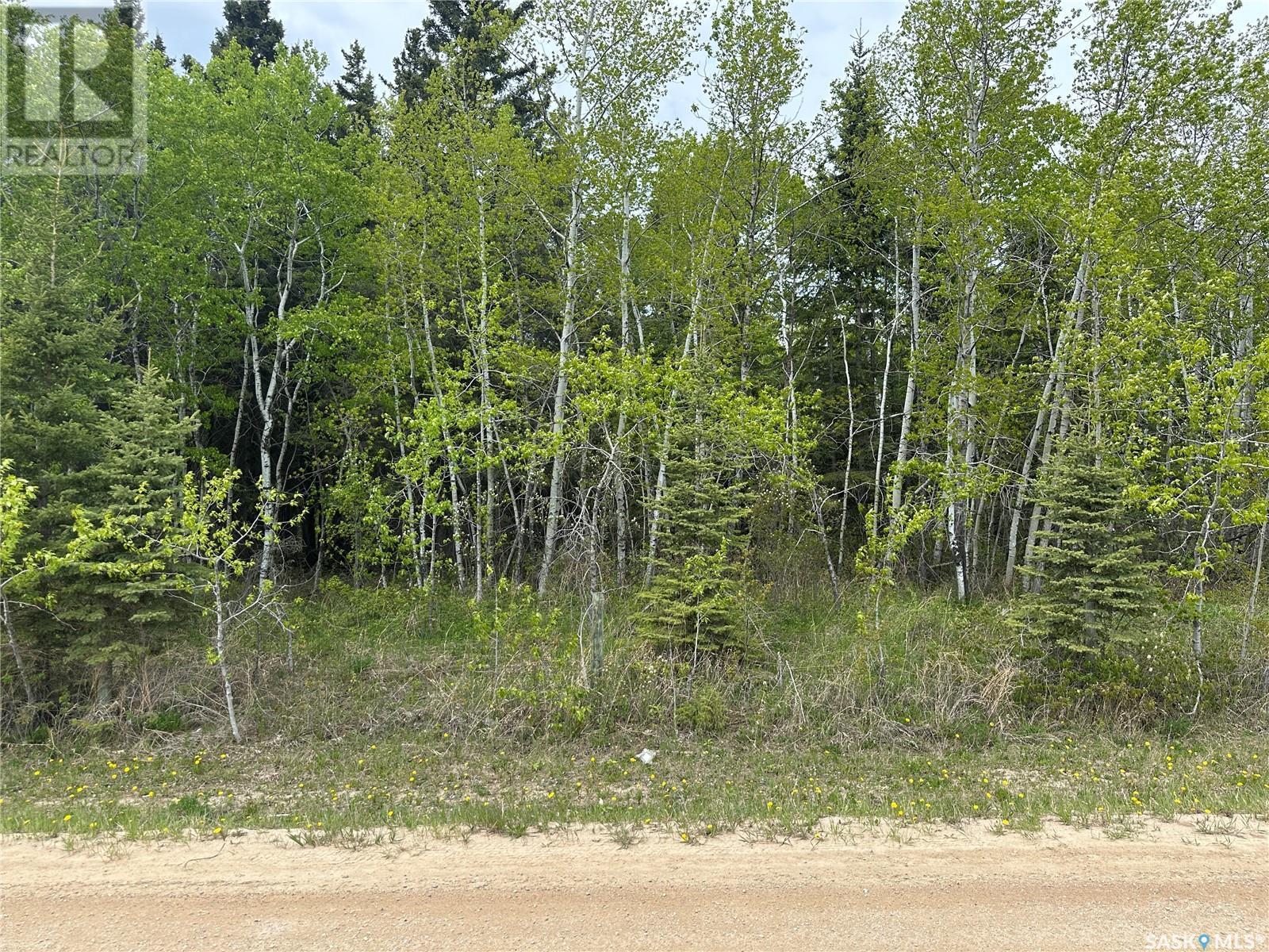 3 George Street, Big River, SK