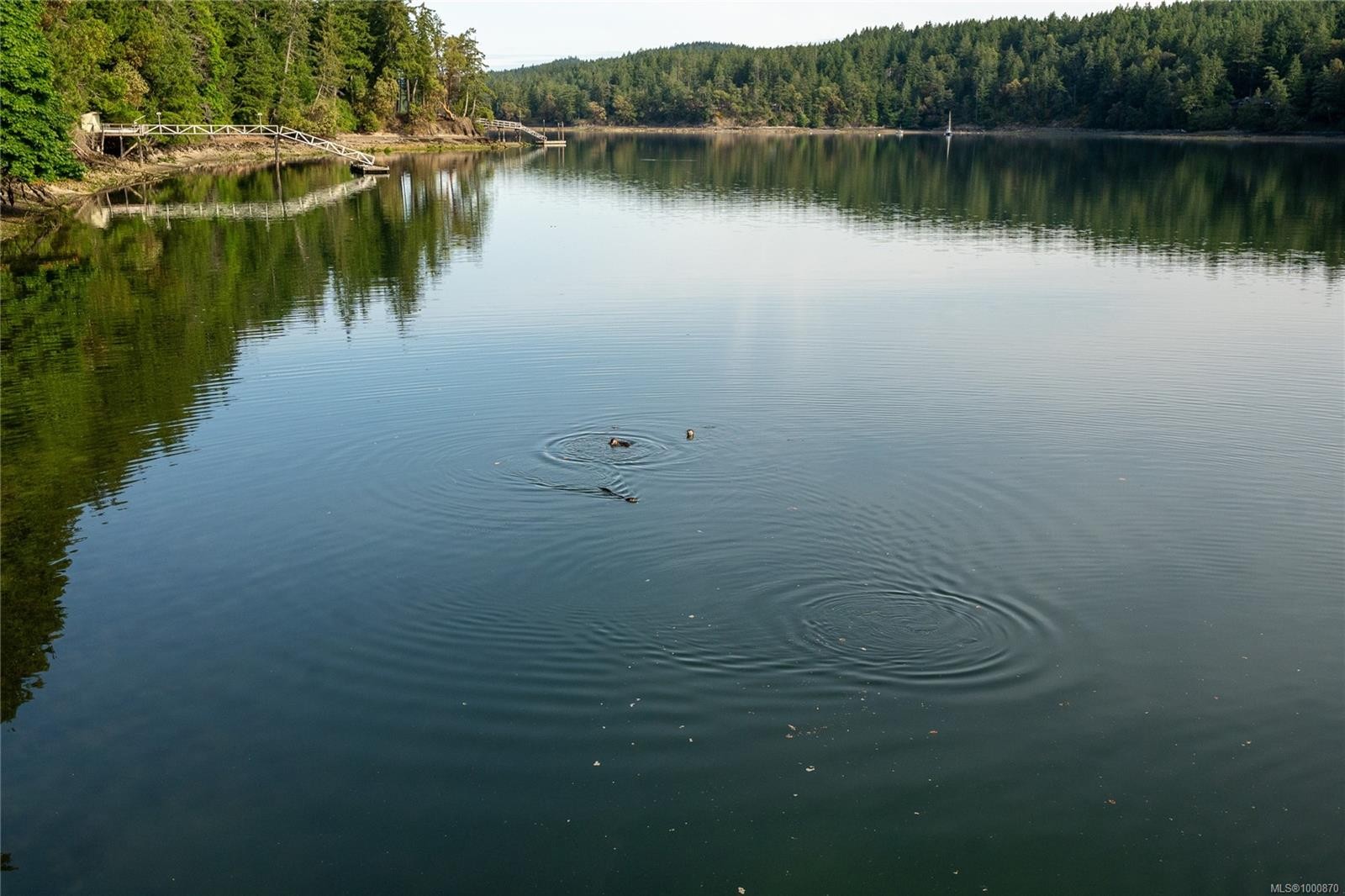 260 Little Mountain Rd, Salt Spring, BC