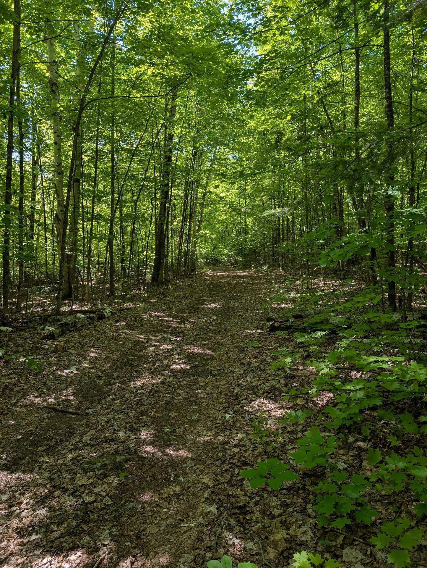 Terre/Terrain - Ch. Du Docteur, La Pêche, QC