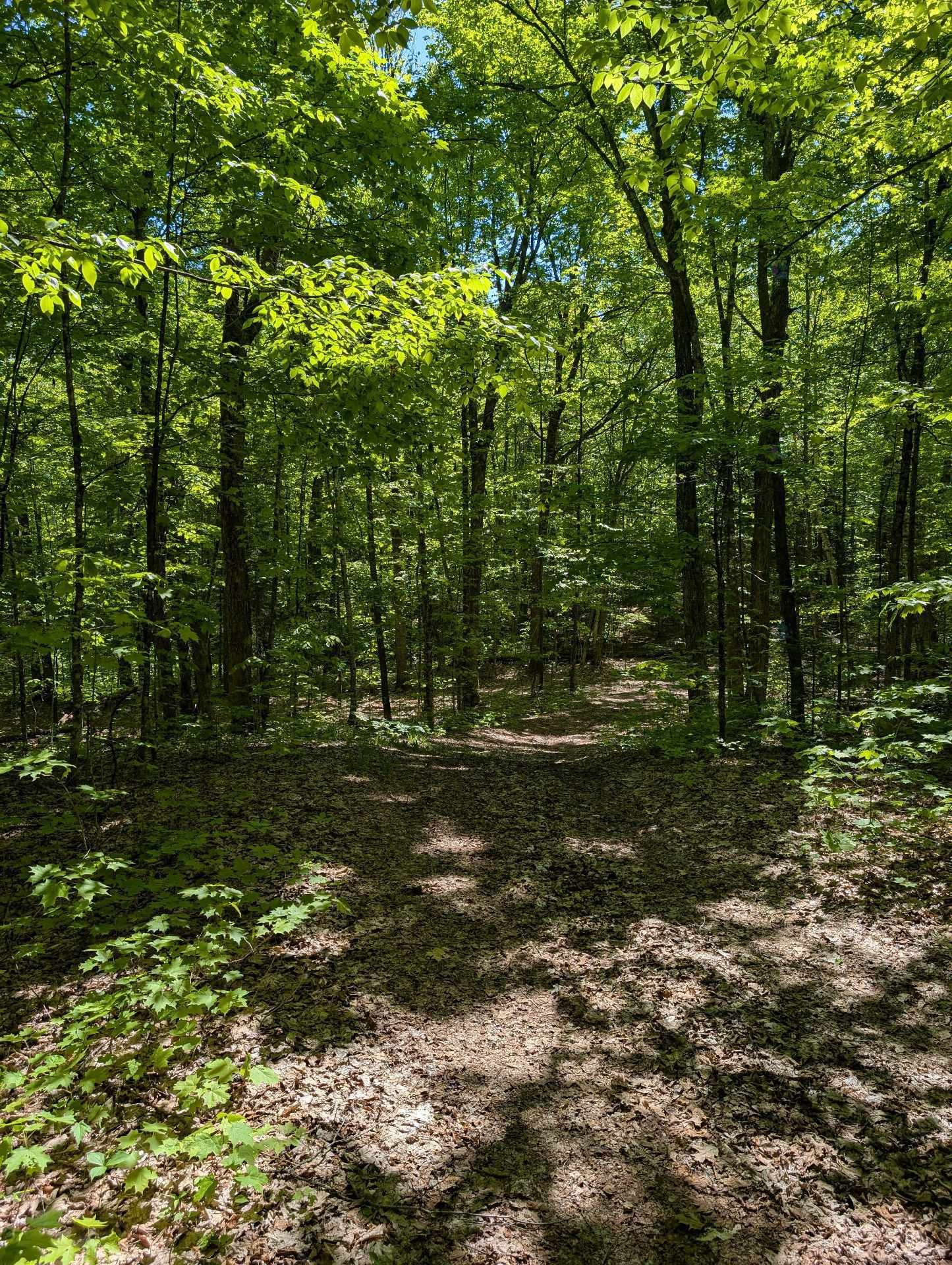 Terre/Terrain - Ch. Du Docteur, La Pêche, QC