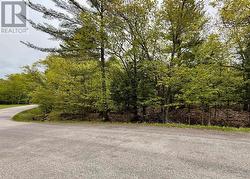 13 HARRISON LANDING ROAD Carling, ON P0G 1G0