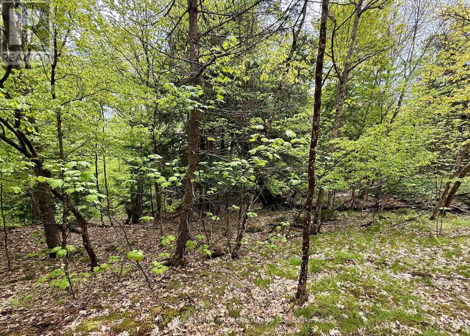 13 Harrison Landing Road, Carling, ON