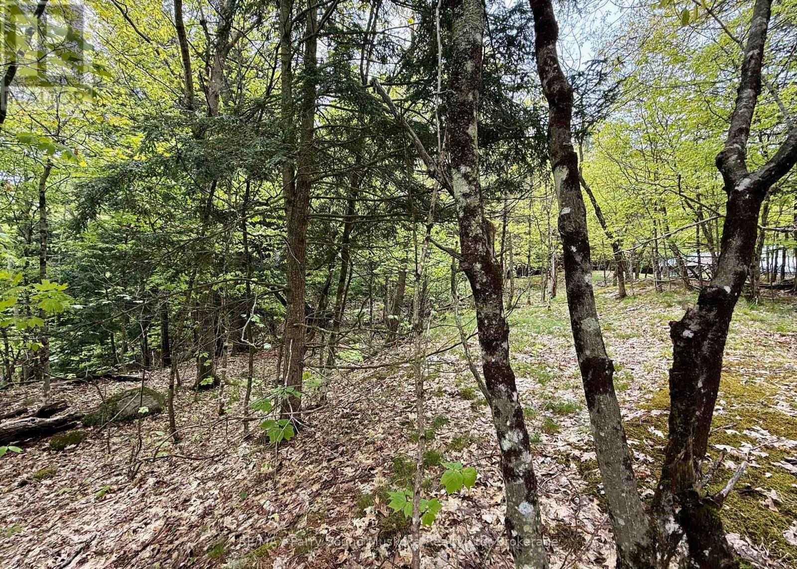 13 Harrison Landing Road, Carling, ON