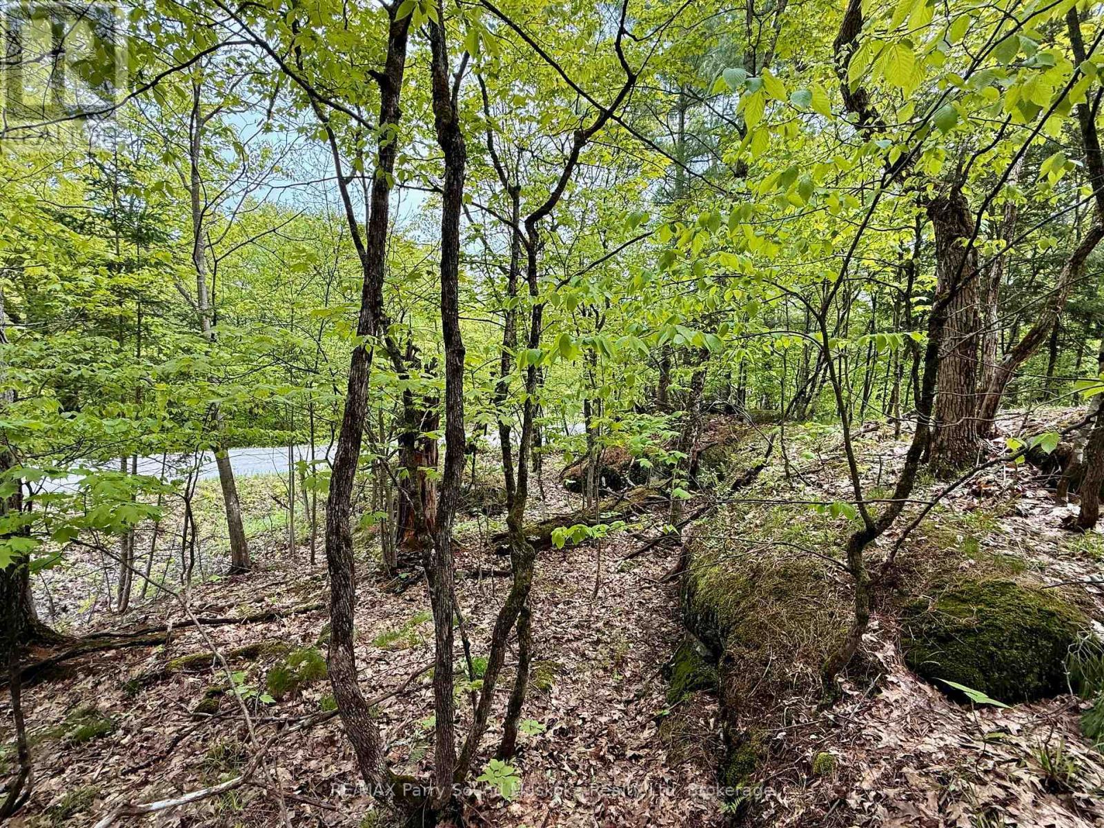 13 Harrison Landing Road, Carling, ON