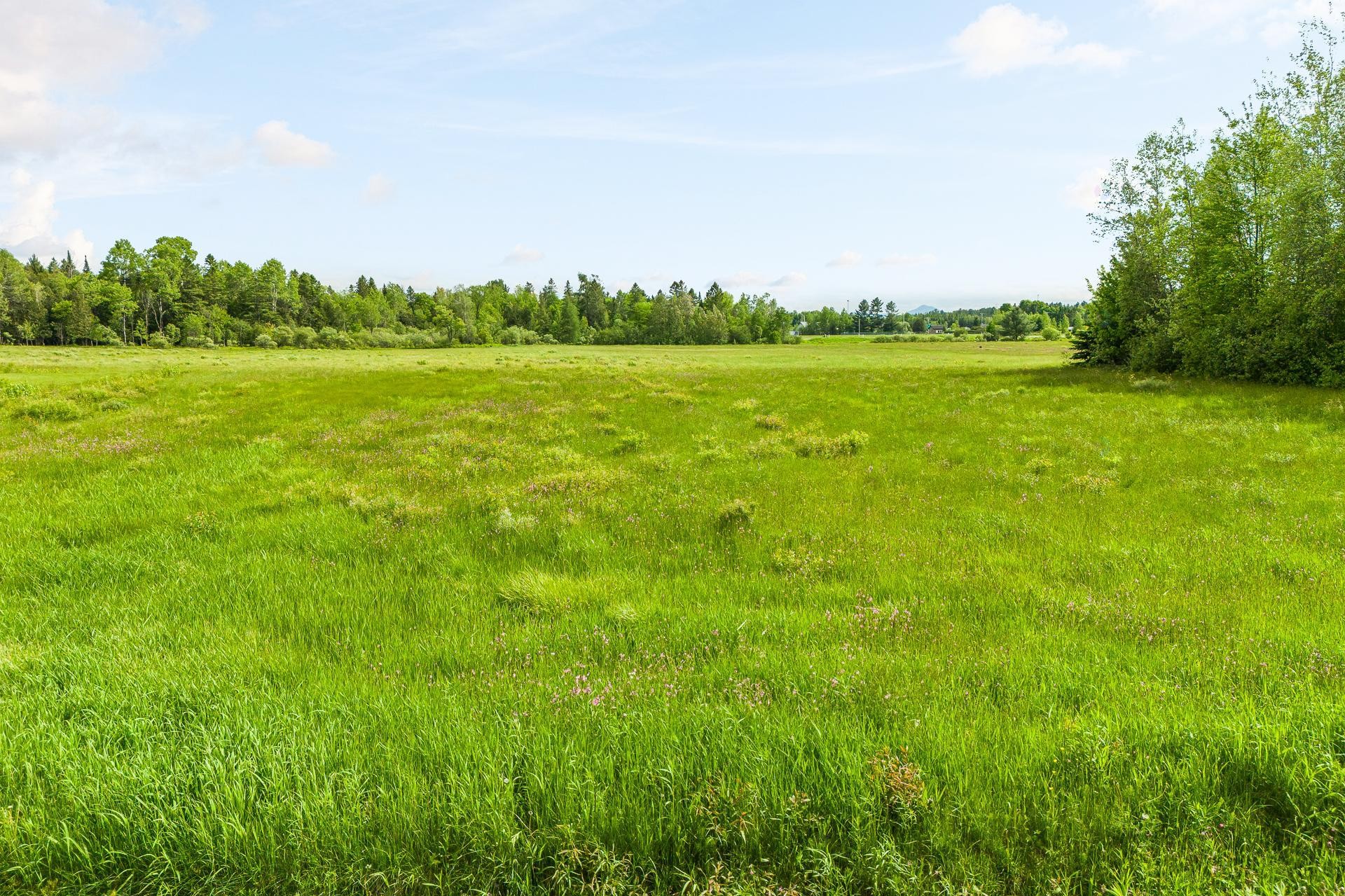 Terre/Terrain - Ch. De La Rivière-Aux-Cerises, Magog, QC