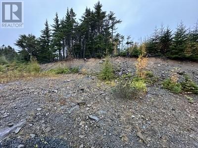 15 North Ridge Sub-Division, Blaketown, NL