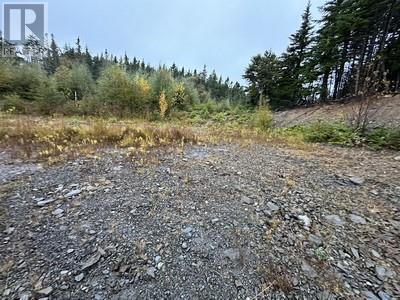 15 North Ridge Sub-Division, Blaketown, NL