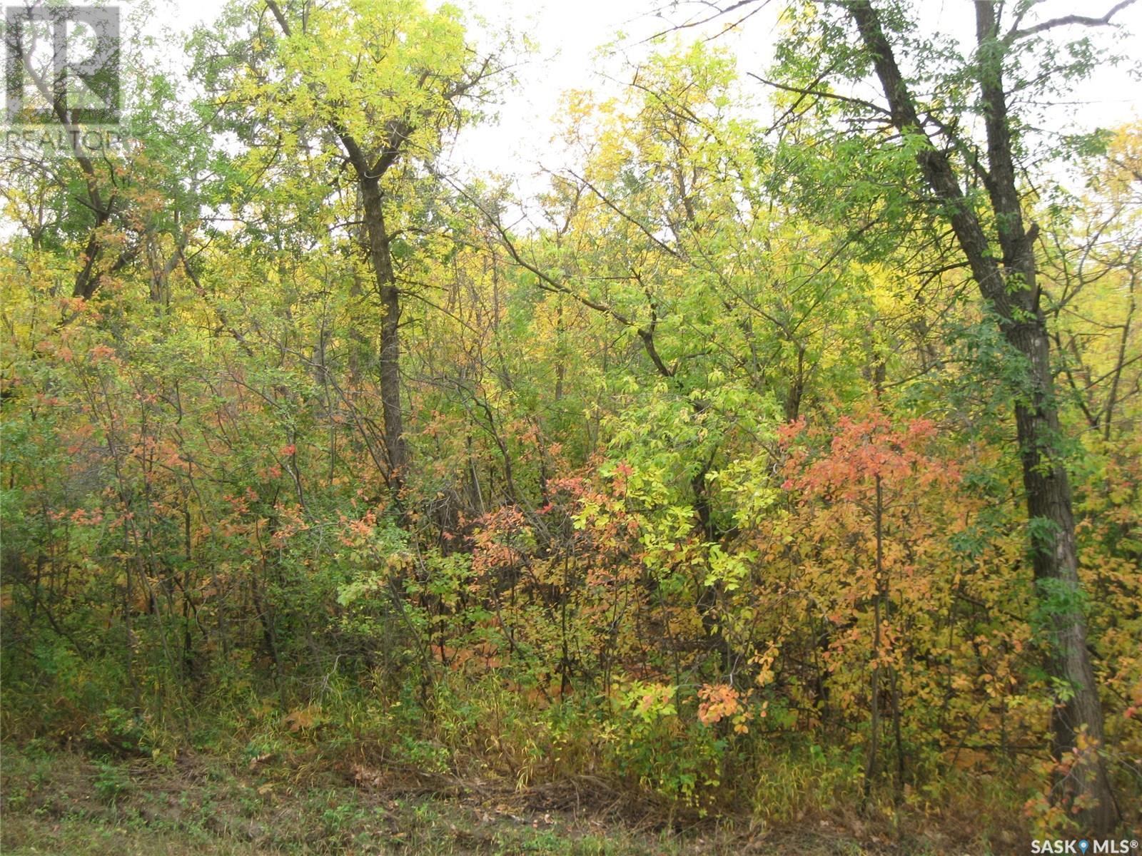 9 And 11 Qu'Appelle Park, B-Say-Tah, SK