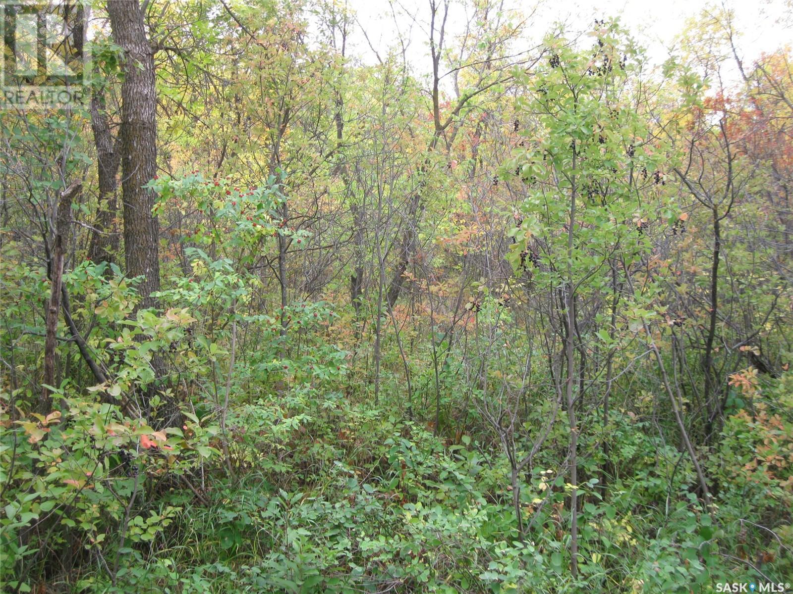 9 And 11 Qu'Appelle Park, B-Say-Tah, SK