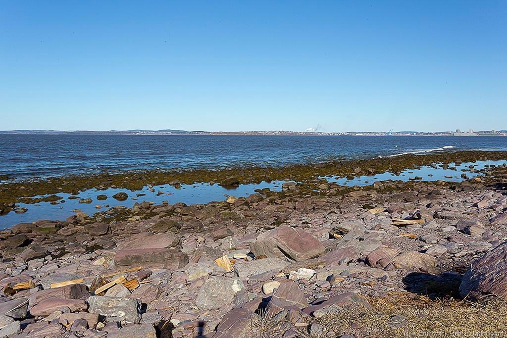 369 Anthonys Cove Rd, Saint John, NB