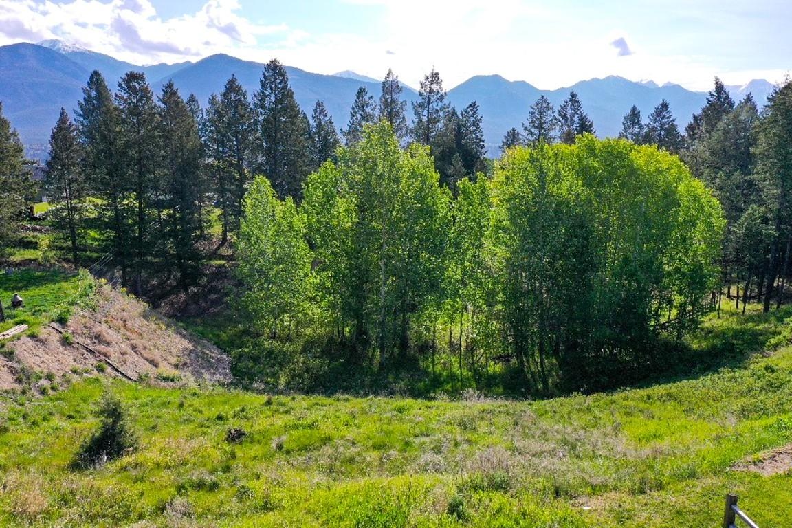 2161 Pinetree Place, Invermere, BC - Outdoor With View