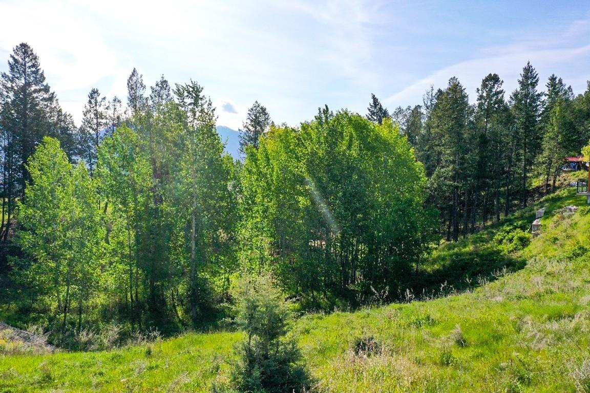 2161 Pinetree Place, Invermere, BC - Outdoor With View