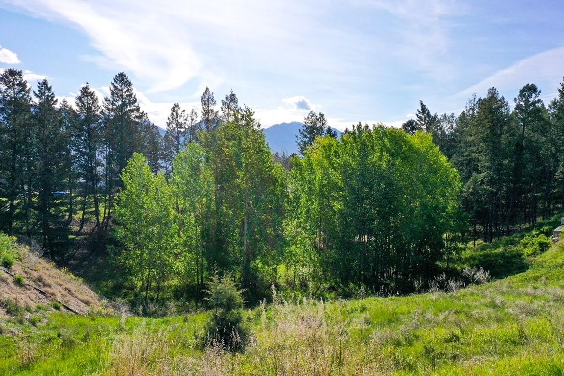 2161 Pinetree Place, Invermere, BC - Outdoor With View
