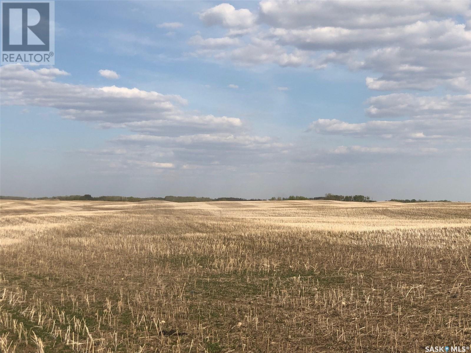 Flower Farm, Sasman Rm No. 336, SK