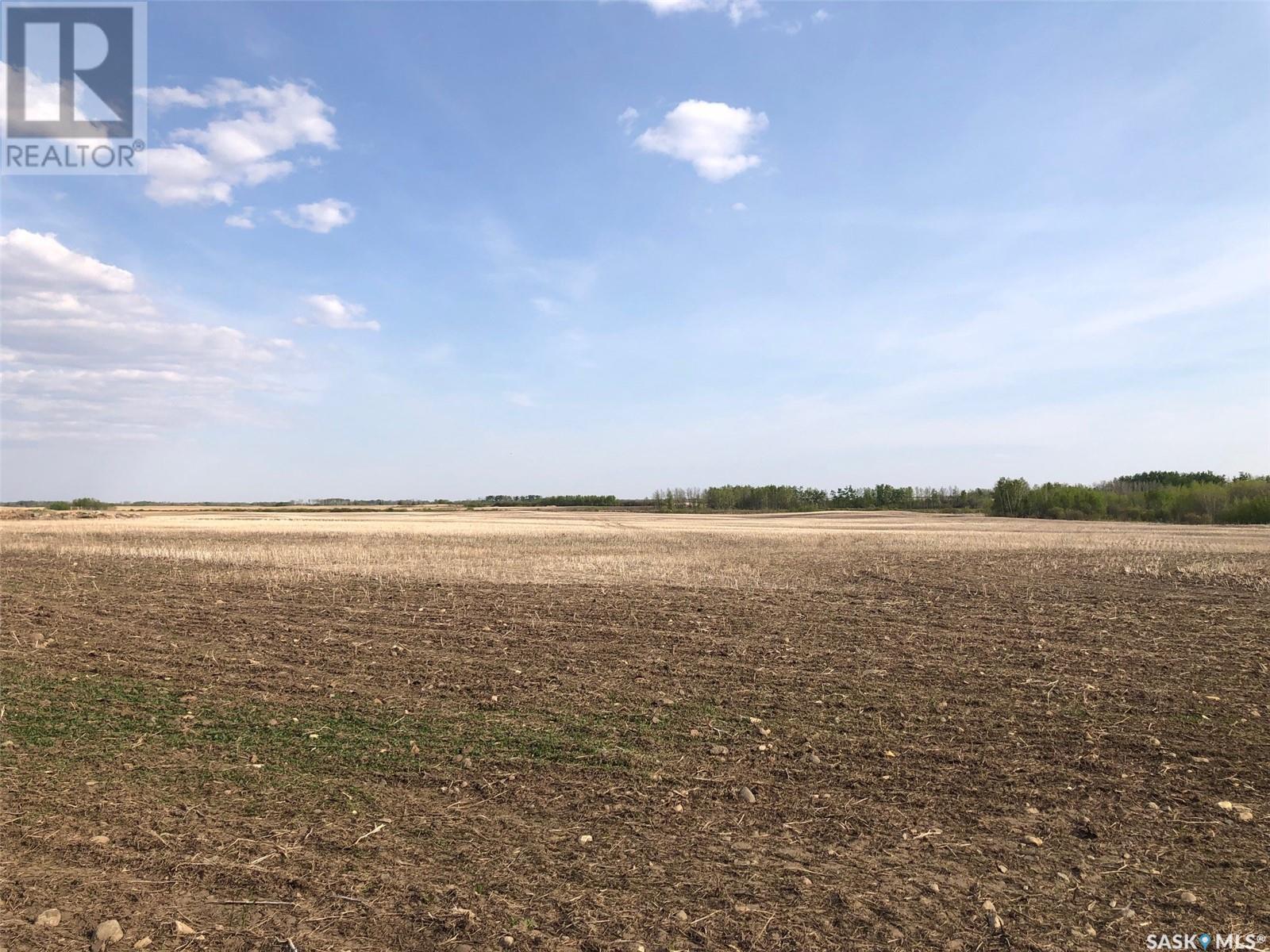 Flower Farm, Sasman Rm No. 336, SK