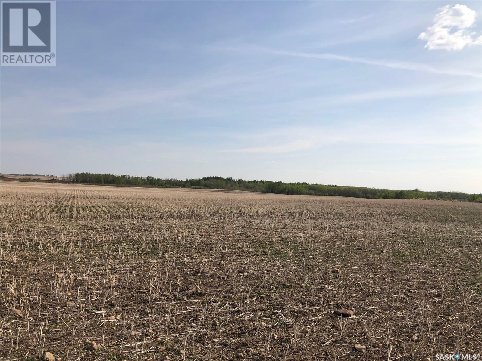 Flower Farm, Sasman Rm No. 336, SK