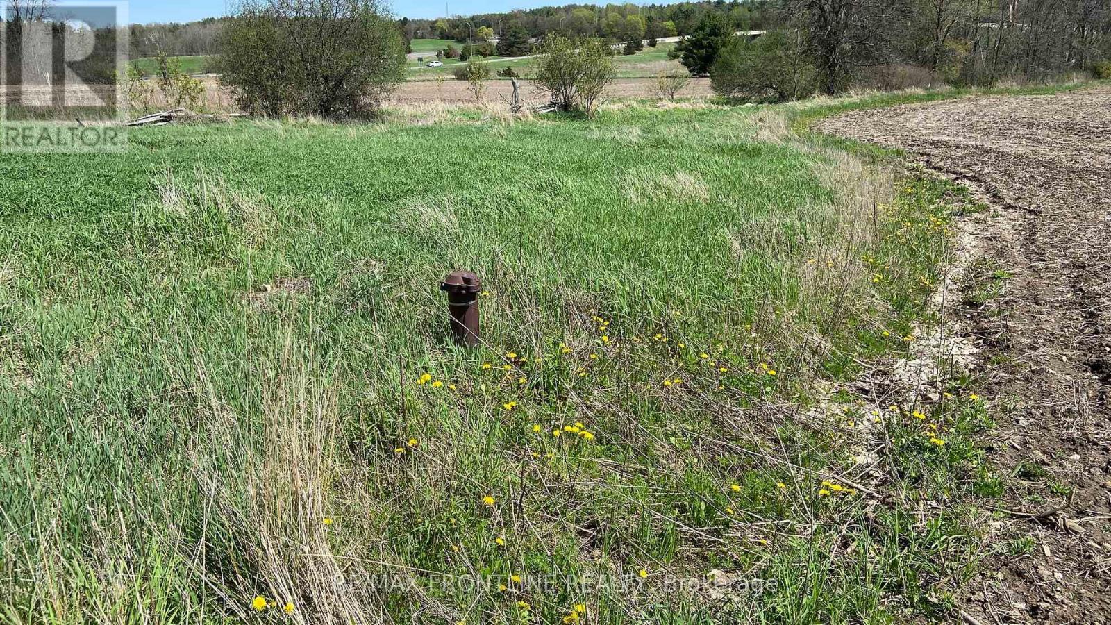 1380 Maple Road S, Loyalist (Lennox And Addington - South), ON