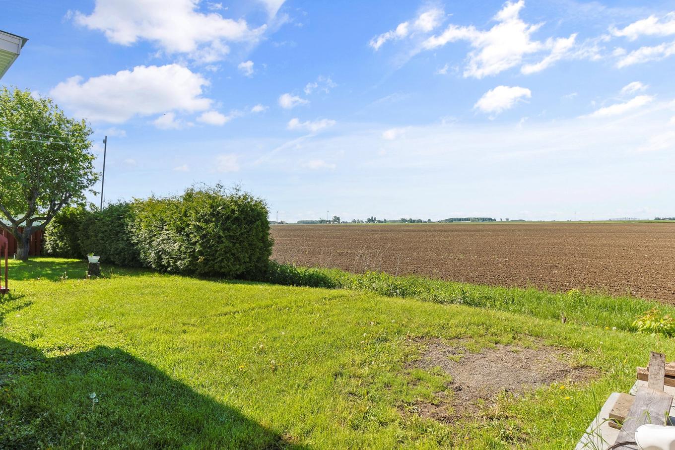 Backyard - 18 Rue Viau, Saint-Isidore, QC - Outdoor With View