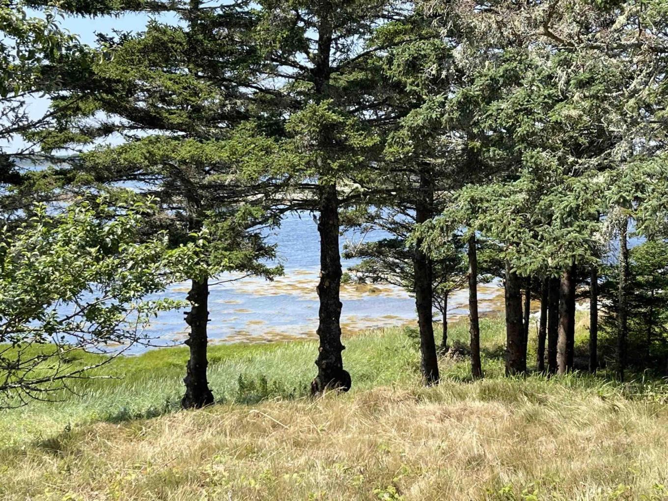 Lot 3 Slaterville Road, Eel Bay, NS