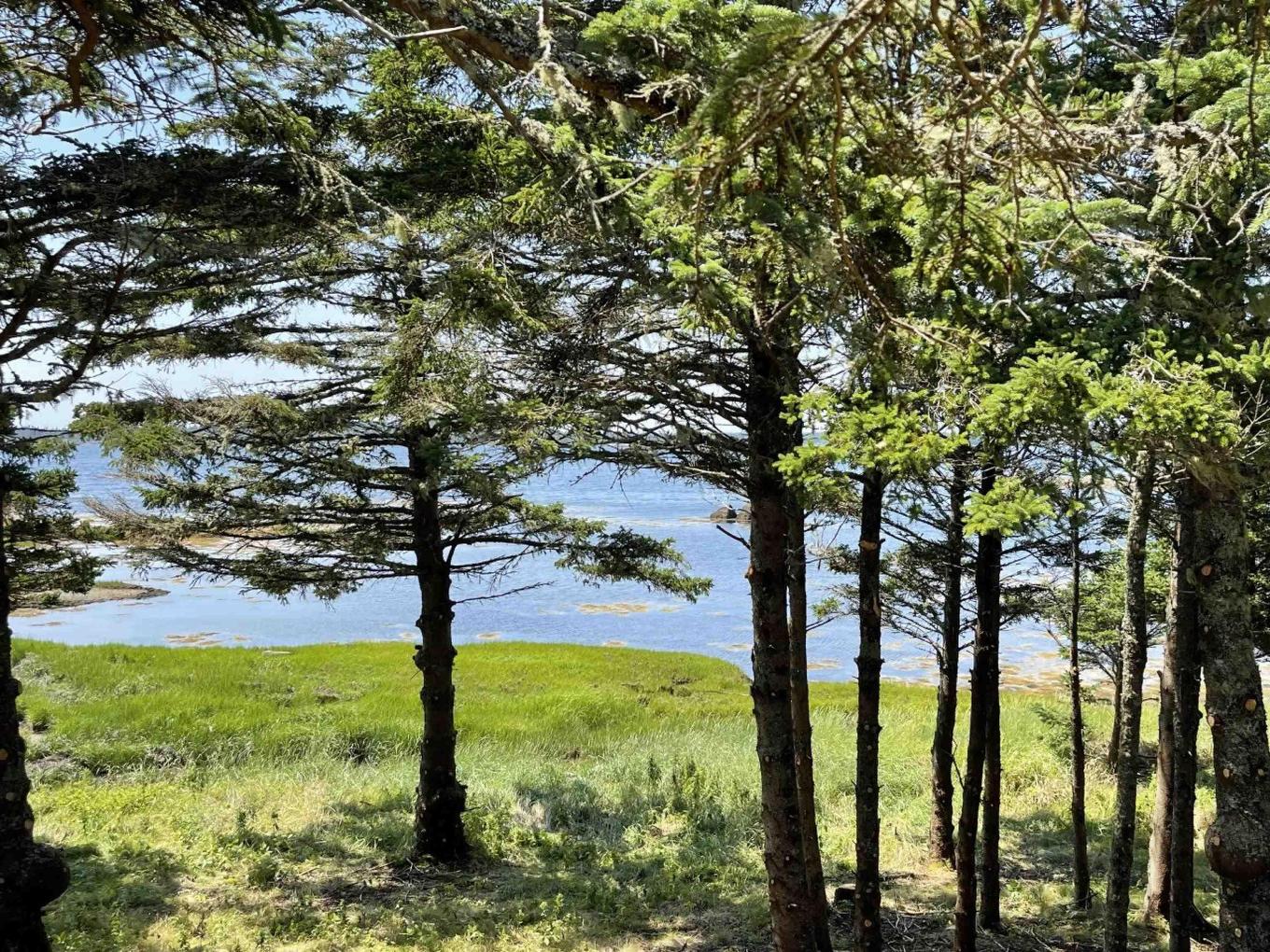 Lot 3 Slaterville Road, Eel Bay, NS