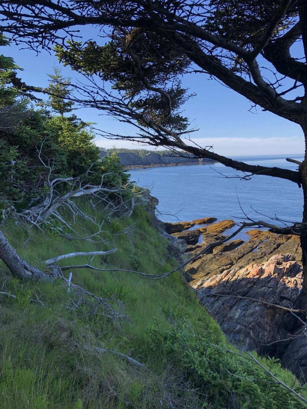 Lot 10C-A Pepperrell Road, Cape St Marys, NS