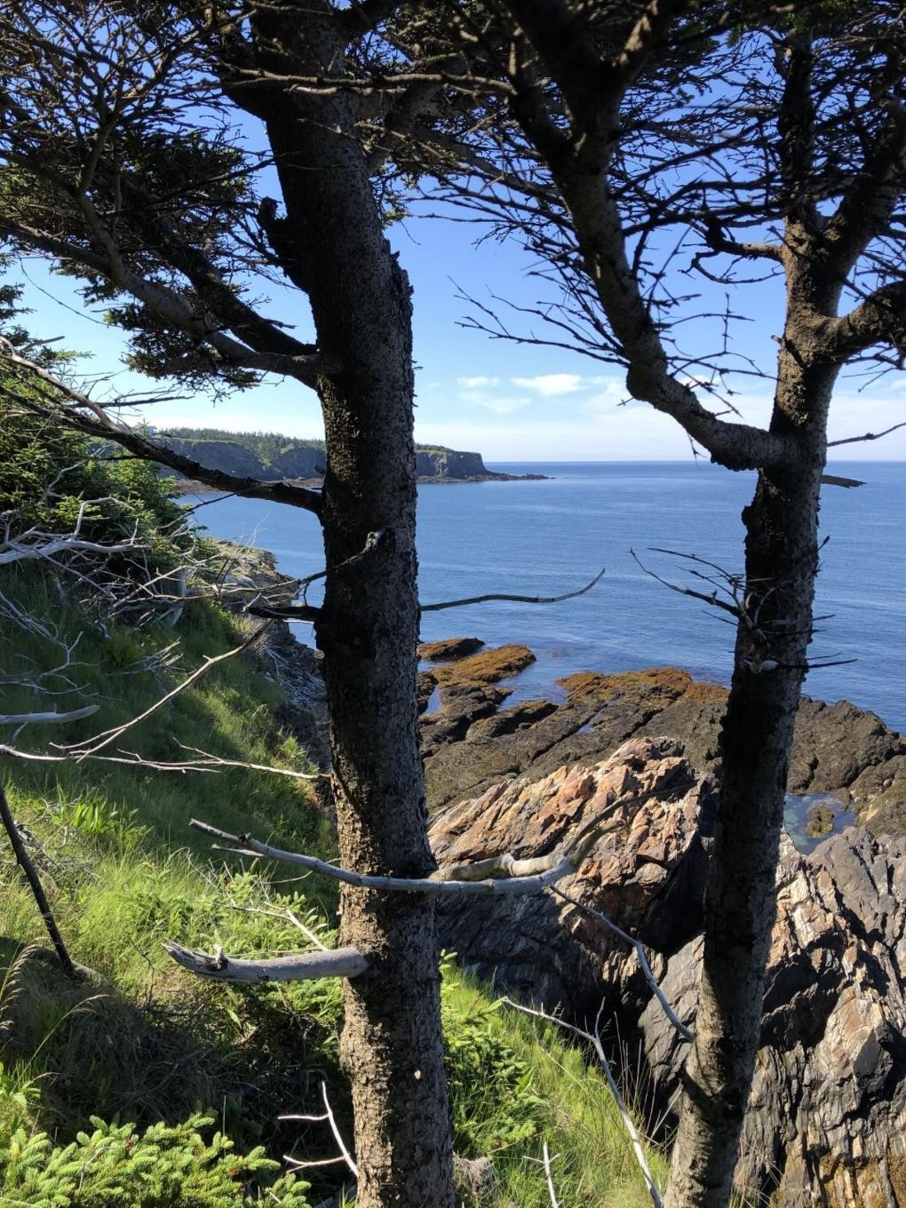 Lot 10C-A Pepperrell Road, Cape St Marys, NS